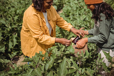 Two people gardening